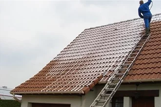 Nettoyage et d&eacute;moussage de toiture